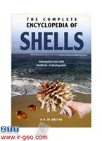  The Complete Encyclopedia of Shells 